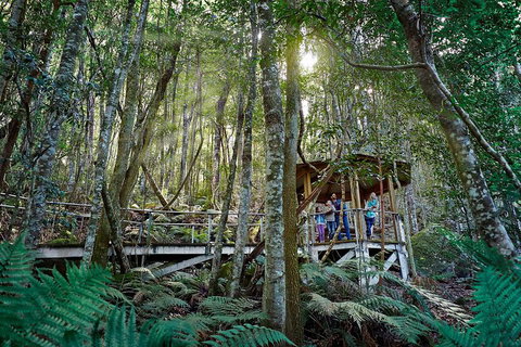Private Blue Mountains Tour - Events Australia 4