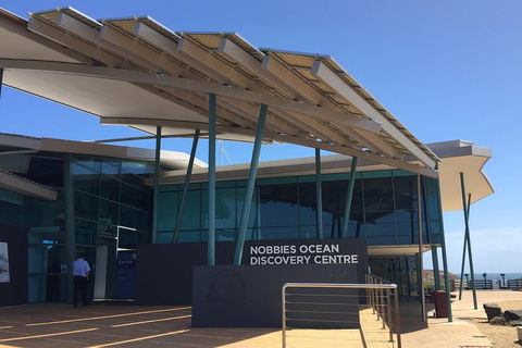 Phillip Island Penguin And Koala Highlights Day-Trip From Melbourne - Events Australia 1