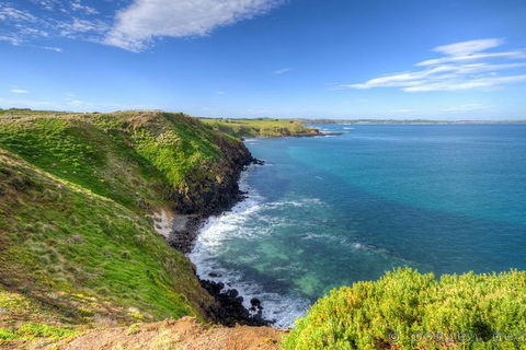 Phillip Island Penguin And Koala Highlights Day-Trip From Melbourne - Events Australia 5