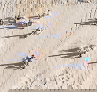 Unlimited Sandboarding - Events Australia