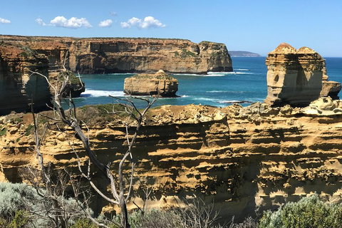 Great Ocean Road Reverse Itinerary Tour - Events Australia 1