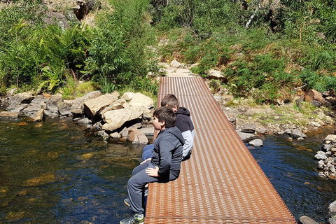 Grampians & Halls Gap - Tourism Bookings 2