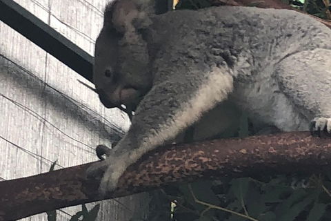 Perth Hills - Wildlife, Art & Gastronomy - Events Australia 3