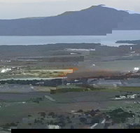 Cairns City Tour - Events Australia