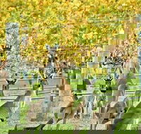 Margaret River Indulge and Discover Day Tour - Events Australia