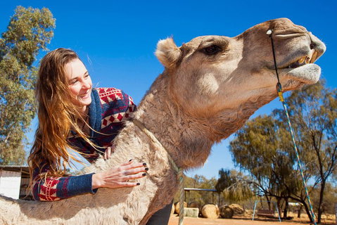 Alice Springs Camel Tour - Events Australia 2