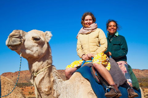 Alice Springs Camel Tour - Events Australia 3
