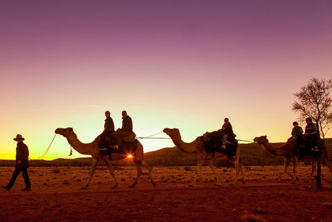 Alice Springs Camel Tour - Events Australia 4