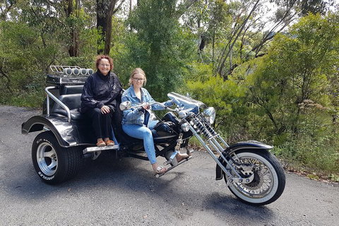 Blue Mountains 1-Hour Trike Tour Of Three Sisters - Events Australia 1