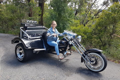 Blue Mountains 1-Hour Trike Tour Of Three Sisters - Events Australia 4