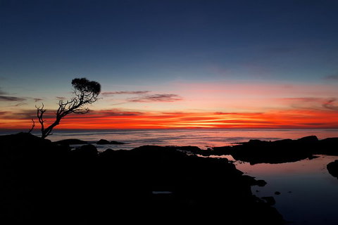 3-Day Bay Of Fires Photography Workshop From Hobart - Events Australia 1