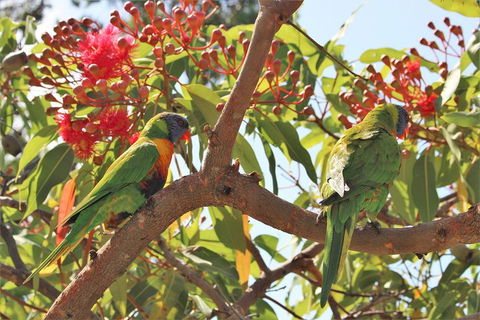 Sydney Harbour, Northern Beaches And National Park - Events Australia 5
