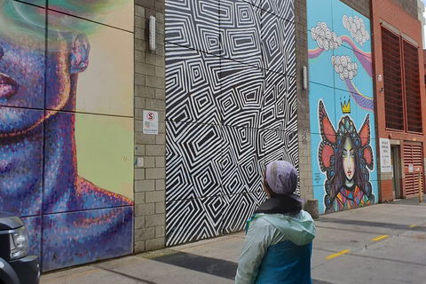 Jimmy C Street Art Walking Tour - Events Australia 2