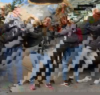 Guided Walking Tour in Adelaide - Events Australia