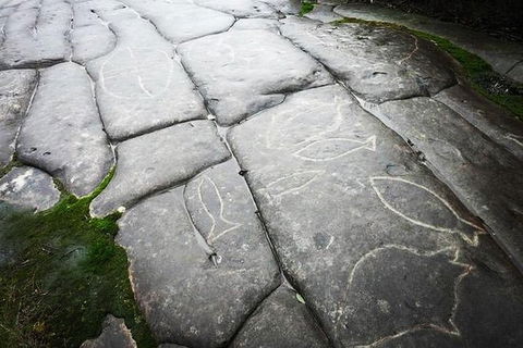 5 Day Kayak Adventure Down Hawkesbury River - Events Australia 2