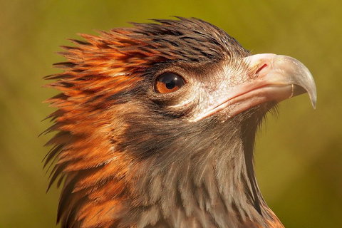 Australian Animals, Seascape And Sunset Photography Tour - Events Australia 4