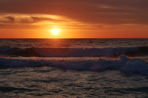Australian Animals, Seascape And Sunset Photography Tour - Events Australia 5