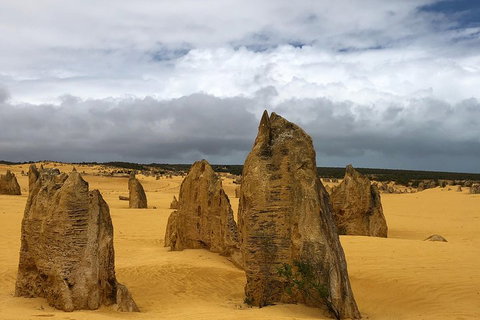 Private Pinnacles Day Tour - Events Australia 1