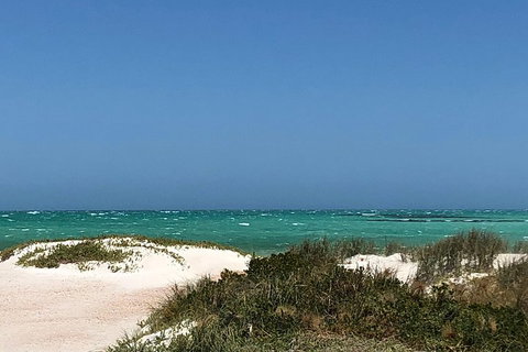 Private Pinnacles Day Tour - Events Australia 2