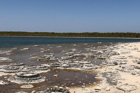 Private Pinnacles Day Tour - Events Australia 5