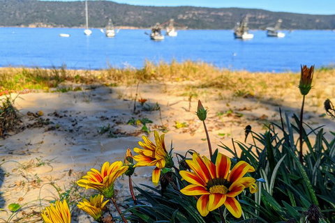 Central Coast Explorer With 'Personalised Sydney Tours' - Tourism Bookings 2
