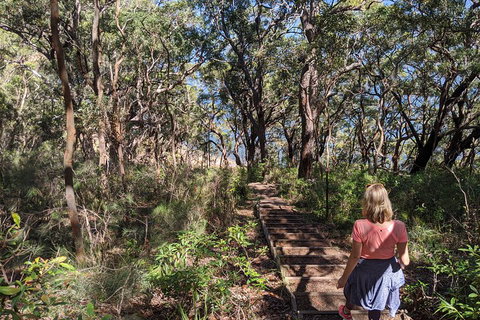 Central Coast Explorer With 'Personalised Sydney Tours' - Tourism Bookings 4