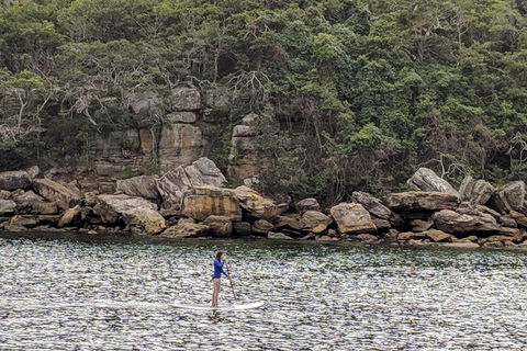 Manly & Sydney's Northern Beaches With 'Personalised Sydney Tours' - Events Australia 3