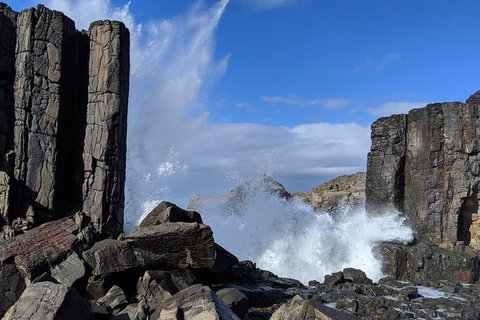 Erupting Blowholes And Ancient Rainforests With 'Personalised Sydney Tours' - Events Australia 0