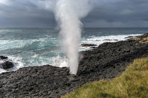 Erupting Blowholes And Ancient Rainforests With 'Personalised Sydney Tours' - Events Australia 1