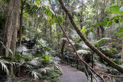 Erupting Blowholes And Ancient Rainforests With 'Personalised Sydney Tours' - Events Australia 2
