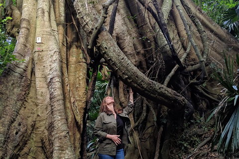 Erupting Blowholes And Ancient Rainforests With 'Personalised Sydney Tours' - Events Australia 4
