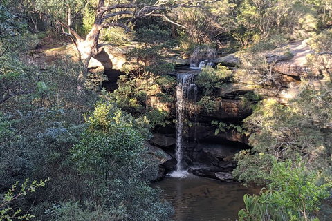 Australian Wildlife & Waterfalls Private Tour With 'Personalised Sydney Tours' - Events Australia 5