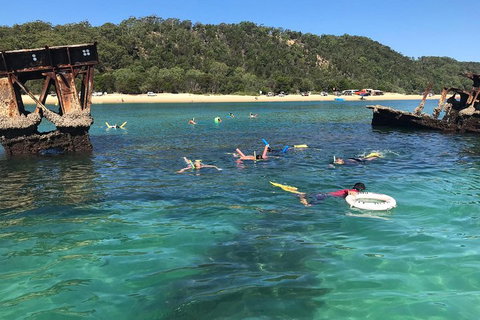 All Inclusive Dolphin And Tangalooma Wrecks Cruise - Events Australia 0
