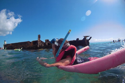 All Inclusive Dolphin And Tangalooma Wrecks Cruise - Events Australia 2
