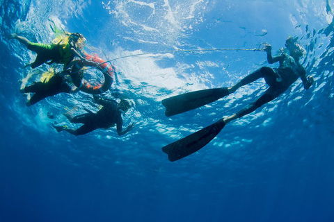 Passions Of Paradise Great Barrier Reef Snorkel And Dive Cruise From Cairns By Luxury Catamaran - Events Australia 2