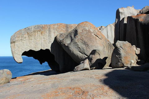 Kangaroo Island Personal Group Tours - Events Australia 2
