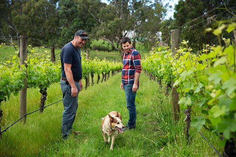 LGBT+ Friendly Full Day Yarra Valley & Dandenong Ranges Private Tour - Events Australia 4
