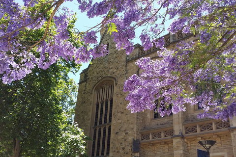 Cultural Caper Adelaide Walking Tour - Tourism Bookings 1