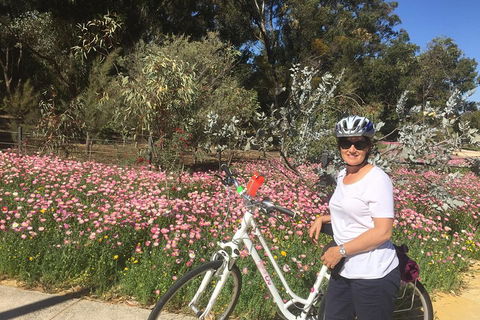 Perth Bike Tour - Beautiful Matilda Bay And Kings Park - Events Australia 1