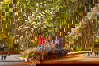 Darwin City Sights and Jumping Crocodile Cruise