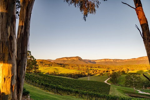Taste Of The Blue Mountains - Lunch & Wine Tasting, Beer, Cider & Gin Tasting - Events Australia 1