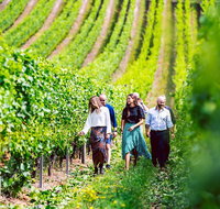Tasmanian Wine Tour - Events Australia