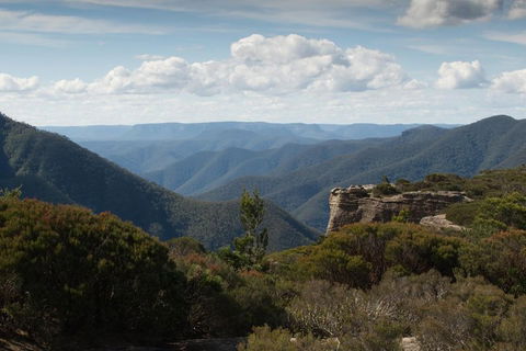 Inside The Greater Blue Mountains World Heritage - A Private Wildlife Safari Overnight - Events Australia 5