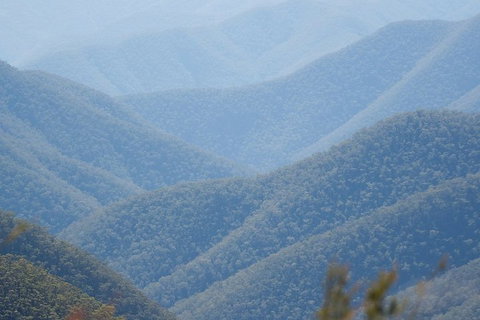 From The Mountains To The Bay - 4 Day Rediscovery Private Tour - Events Australia 1