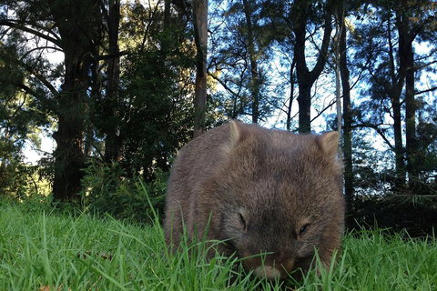 From The Mountains To The Bay - 4 Day Rediscovery Private Tour - Events Australia 5