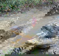 Top End Waterfalls and Wetlands - Events Australia