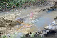 Top End Waterfalls and Wetlands, Darwin