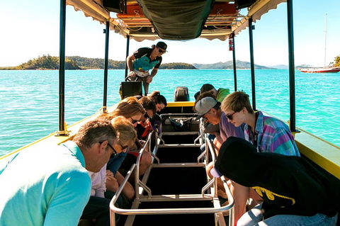 Airlie Beach Glass Bottom Boat Tour - Events Australia 1