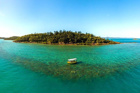 Airlie Beach Glass Bottom Boat Tour - Events Australia 3