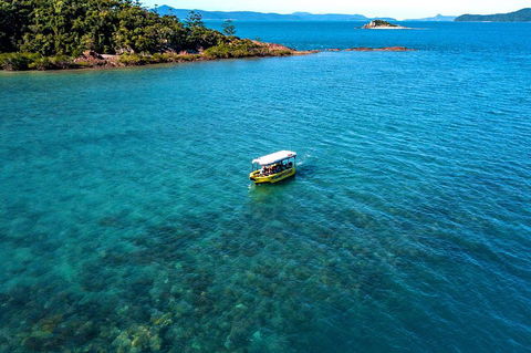 Airlie Beach Glass Bottom Boat Tour - Events Australia 4